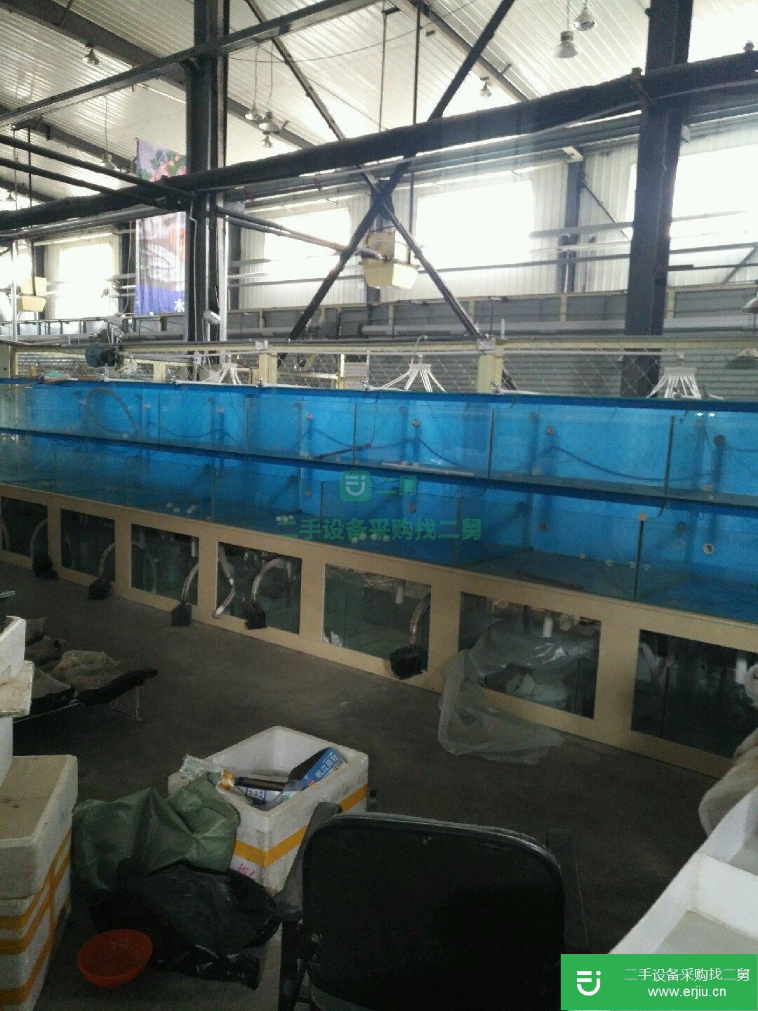 出售二手海鮮池