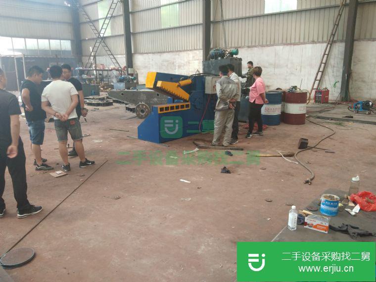 轉讓Q43系列鱷魚式剪切機