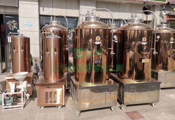 山東出售二手雪透xt-500L型啤酒發酵罐