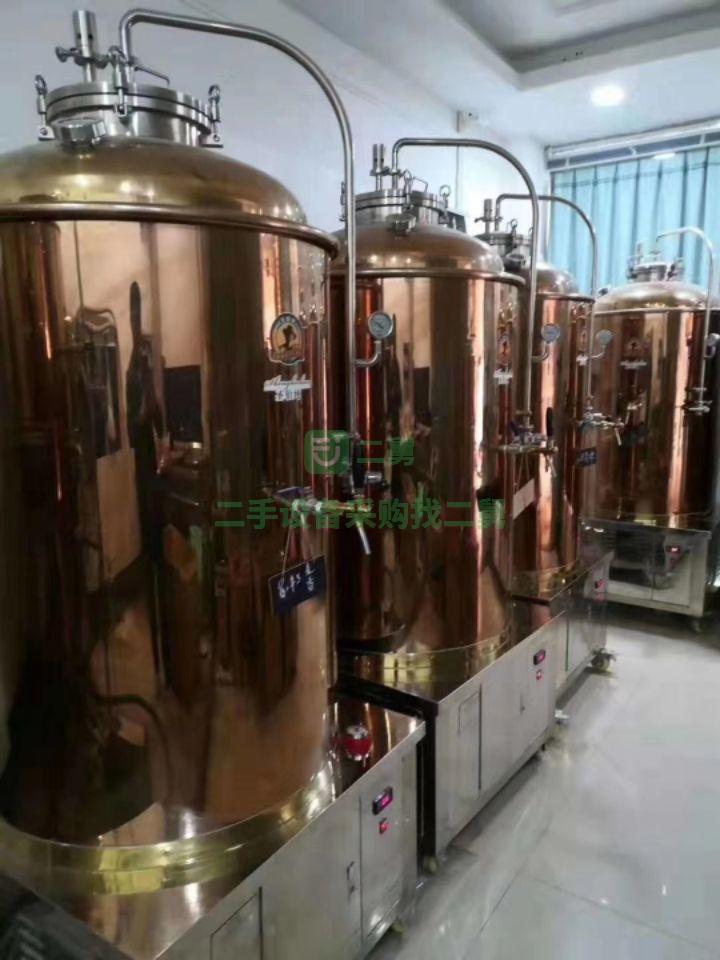山東出售二手雪透xt-500L型啤酒發酵罐