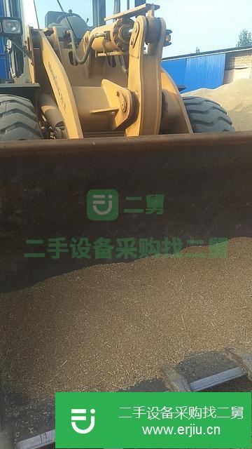 河北出售二手龍工50裝載機