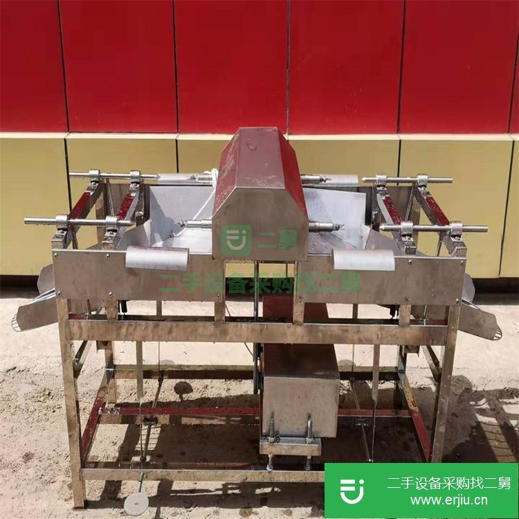 山東出售二手蘋果去皮機