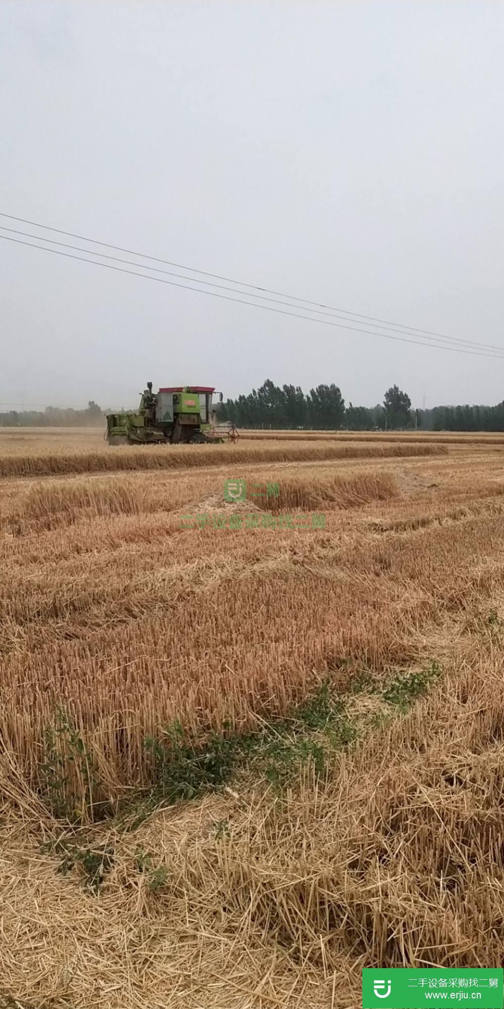 河北出售二手谷物聯合收割機