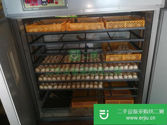 遼寧出售二手雙系統(tǒng)智能三用孵化機(jī)