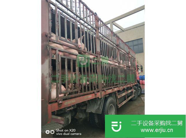安徽出售二手江淮格爾發載貨車