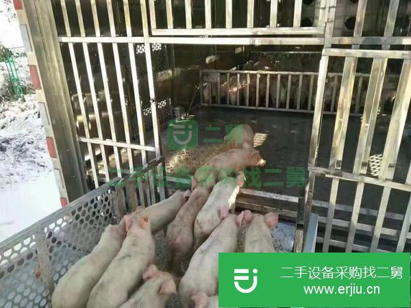 湖南出售二手東風活豬運輸車