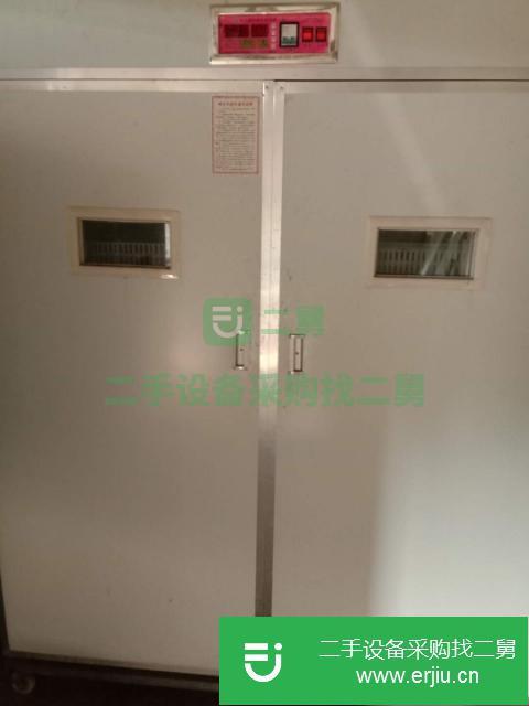 河南出售二手2+1臺孵化機