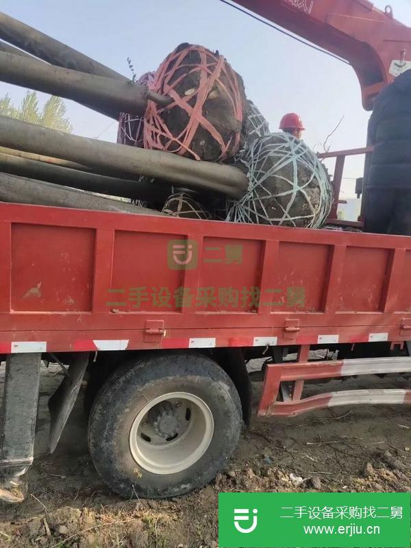 安徽出售二手藍牌吊車