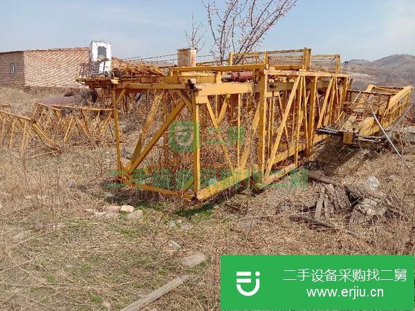 河北出售二手力特50塔吊