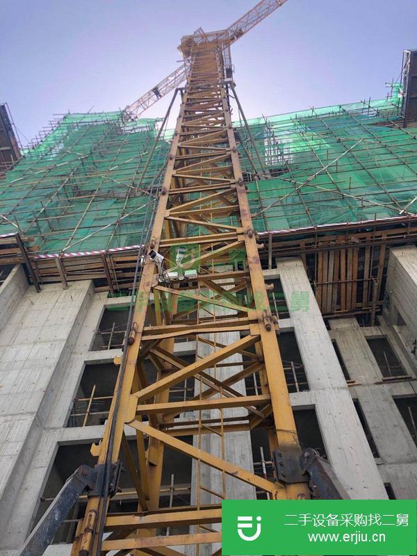 河北出售二手金魁5010塔吊