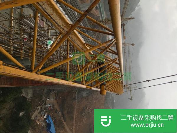 河北出售二手自貢天成5513塔吊