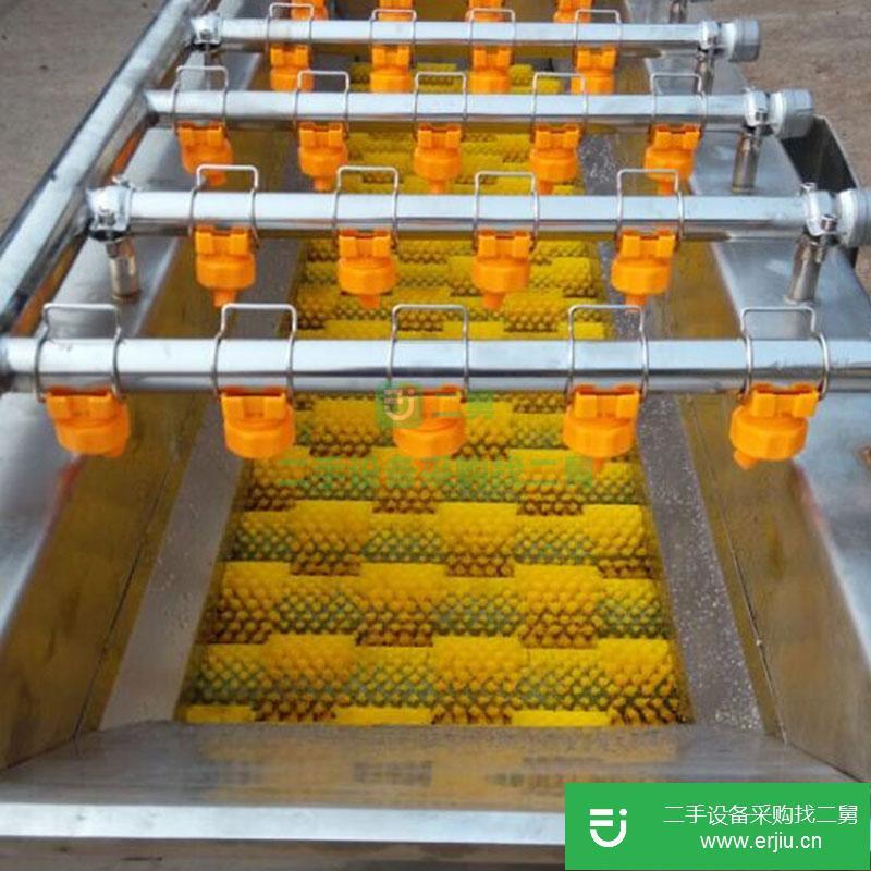 山東出售二手全自動果蔬清洗機