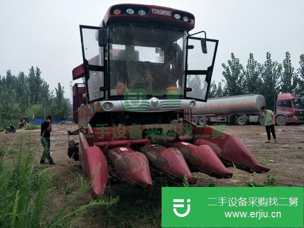 河北出售二手勇猛玉米收割機(jī)